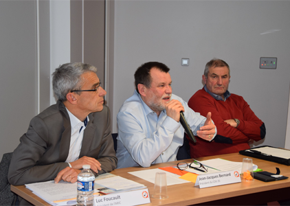 Territoriales5