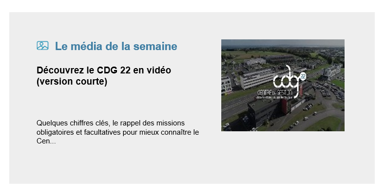 nelle newsletter video