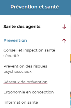 Visuel Accès portail - Réseau départemental des CST FS locaux - Portail CDG 22